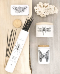 Citronella Collection Moth Match Tin