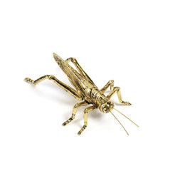 Decorative Gold insect grasshopper