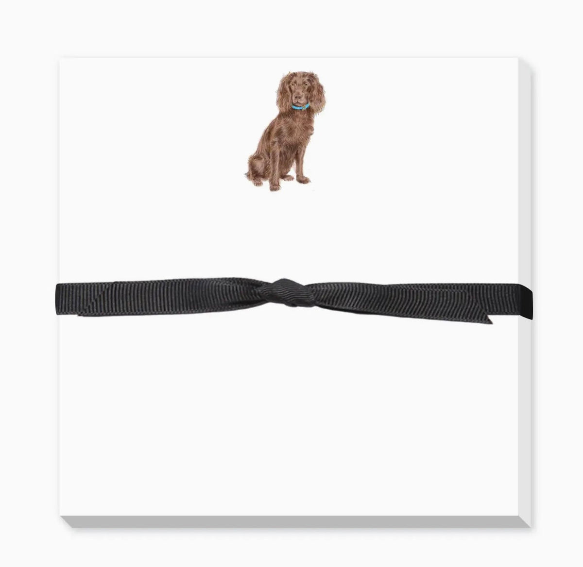 Boykin Spaniel Doodle Notepad
