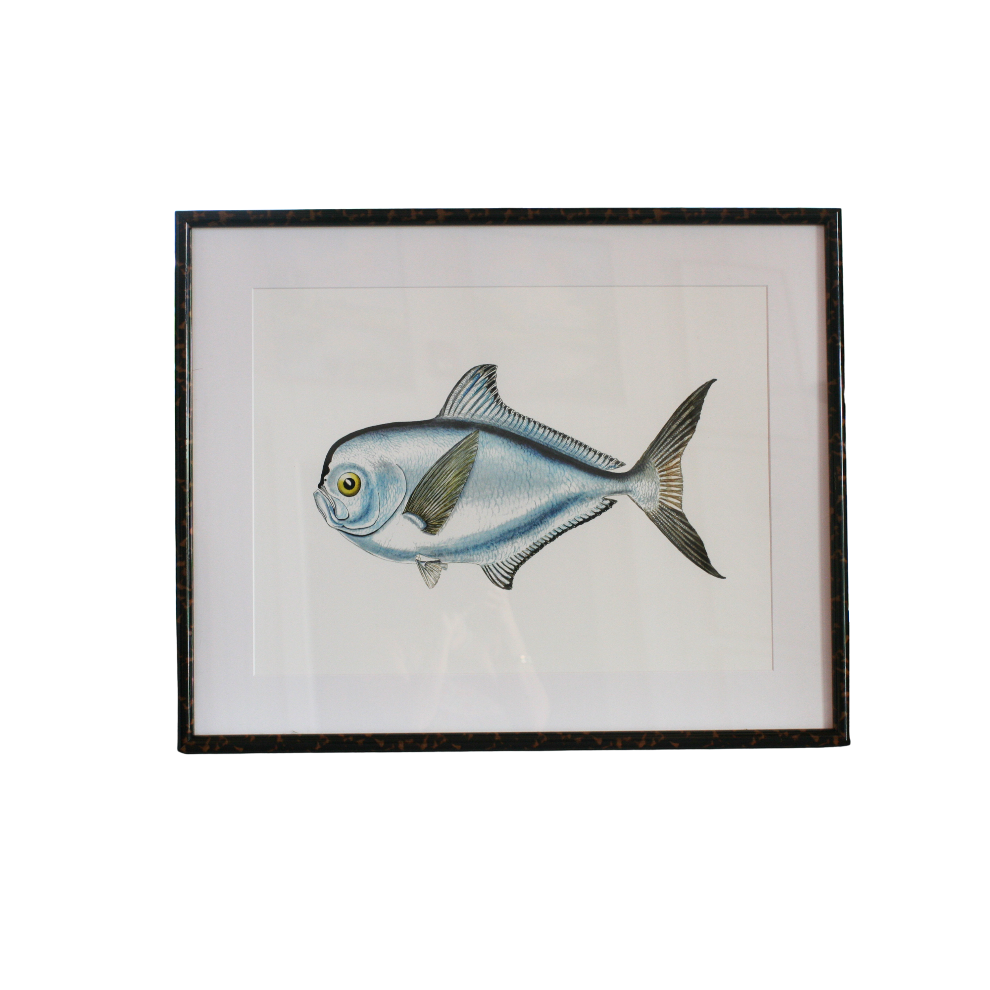 Fish in Tortoiseshell Frame