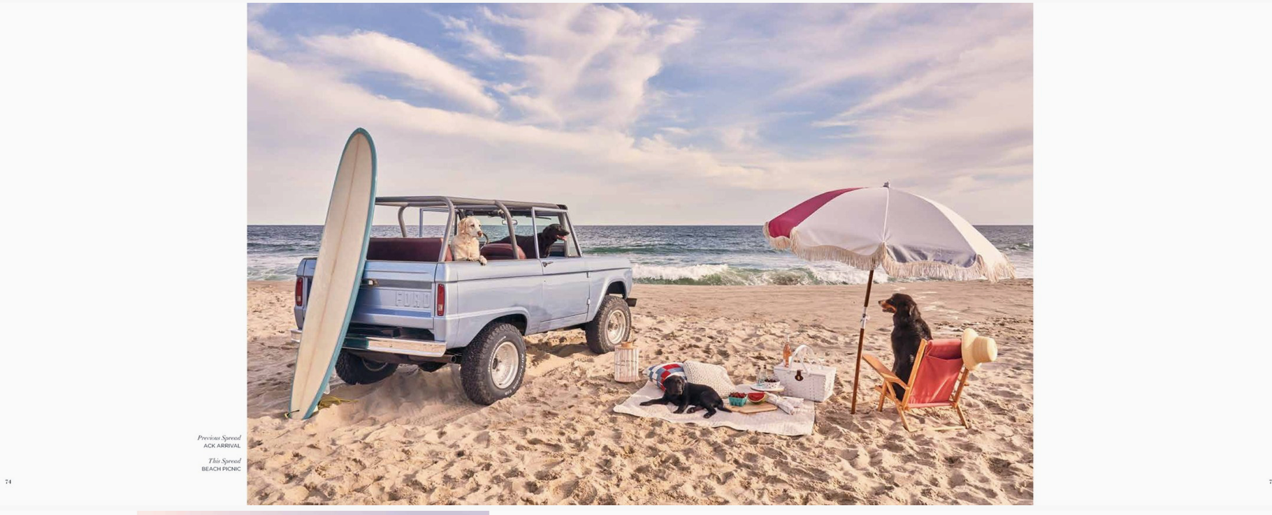 Gray Malin: Dogs