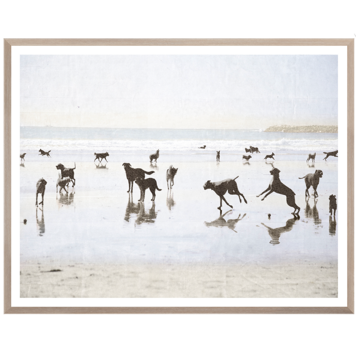 Dogs Day at the Beach - Large