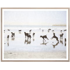 Dogs Day at the Beach - Large